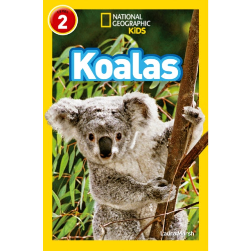 HarperCollins Publishers Koalas (häftad, eng)