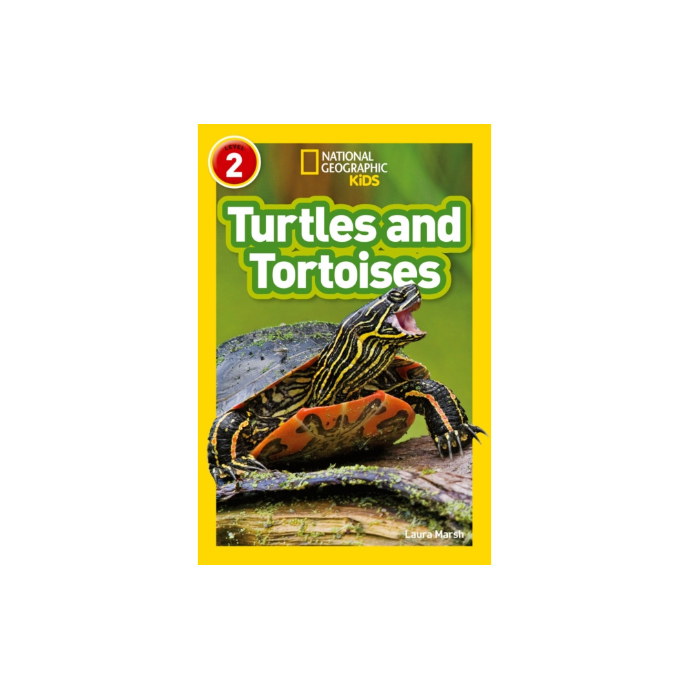 Produktbild för Turtles and Tortoises (häftad, eng)