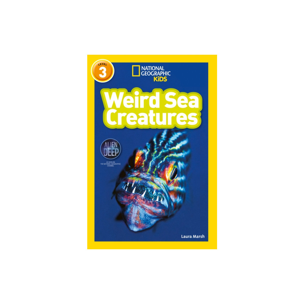 Produktbild för Weird Sea Creatures (häftad, eng)