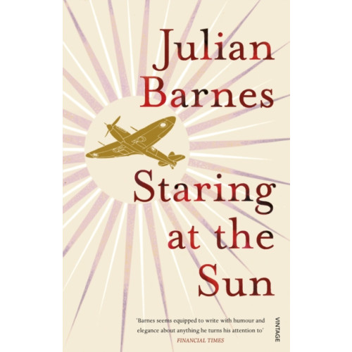 Vintage Publishing Staring at the Sun (häftad, eng)