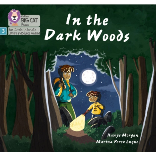 HarperCollins Publishers In the Dark Woods (häftad, eng)