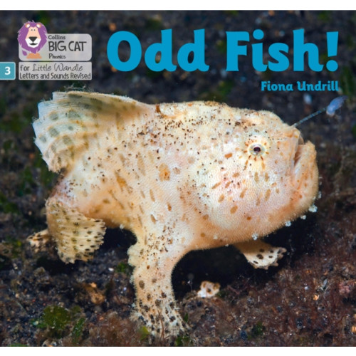 HarperCollins Publishers Odd Fish! (häftad, eng)