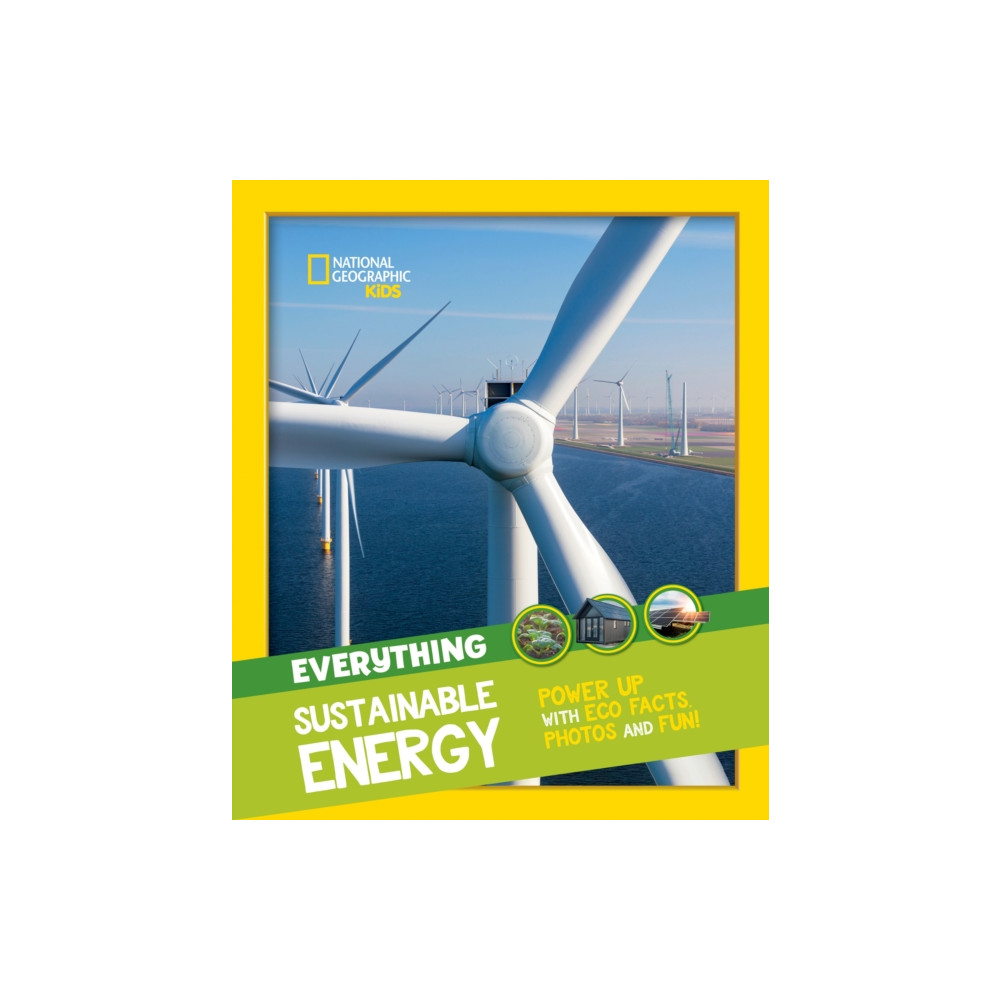 Produktbild för Everything: Sustainable Energy (häftad, eng)