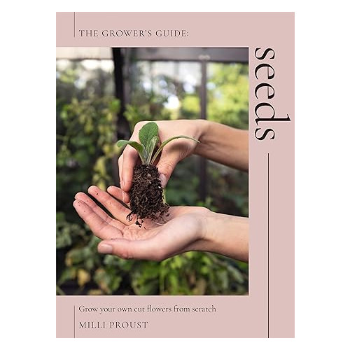 Milli Proust Seeds (häftad, eng)