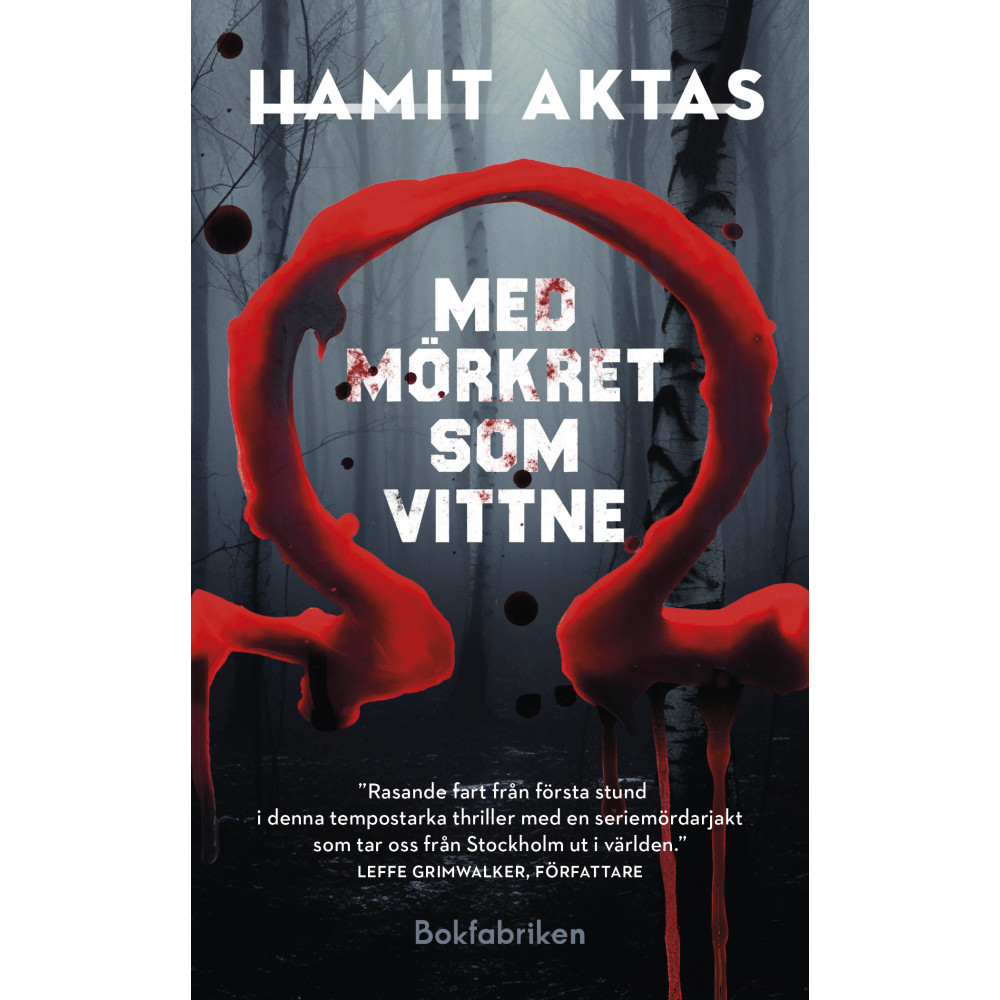 Produktbild för Med mörkret som vittne (pocket)