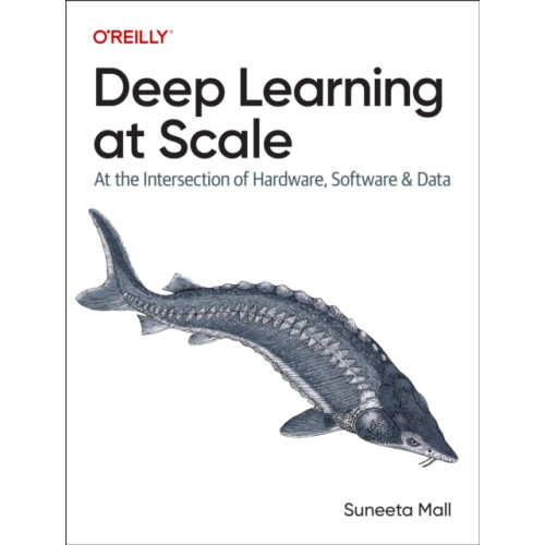 O'Reilly Media Deep Learning at Scale (häftad, eng)