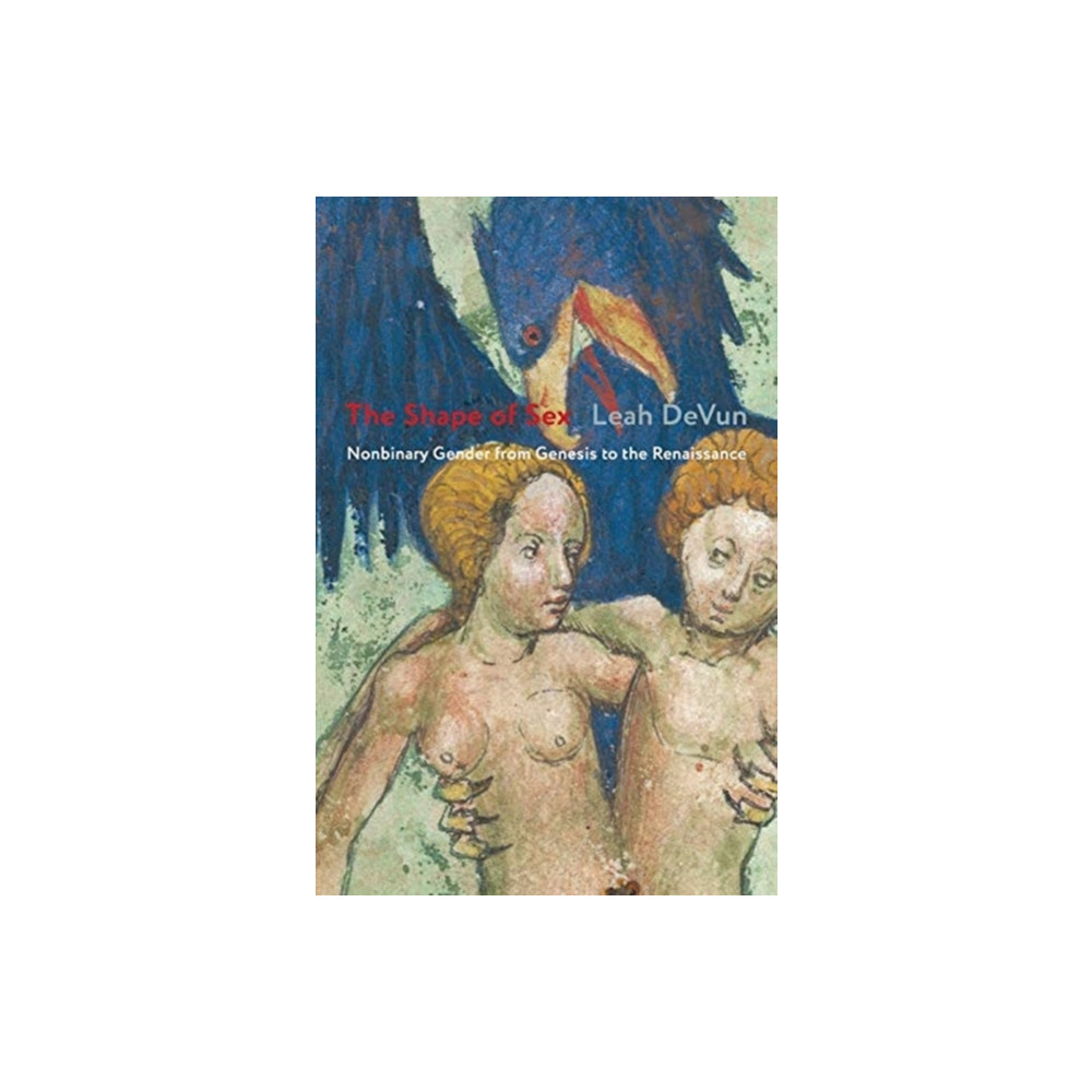 Produktbild för The Shape of Sex (häftad, eng)
