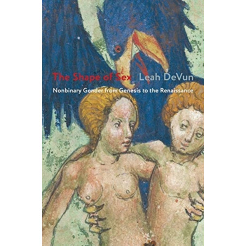 Columbia university press The Shape of Sex (häftad, eng)