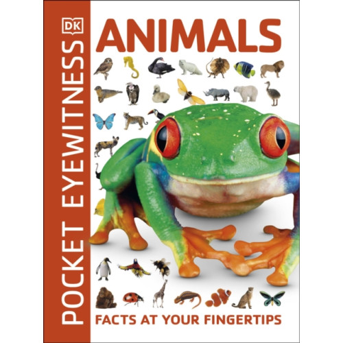 Dorling Kindersley Ltd Animals (häftad, eng)