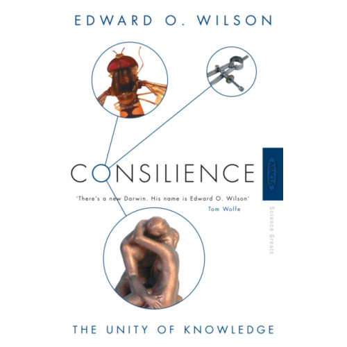 Little, Brown Book Group Consilience (häftad, eng)