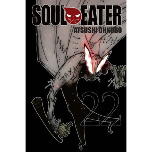 Little, Brown & Company Soul Eater, Vol. 22 (häftad, eng)