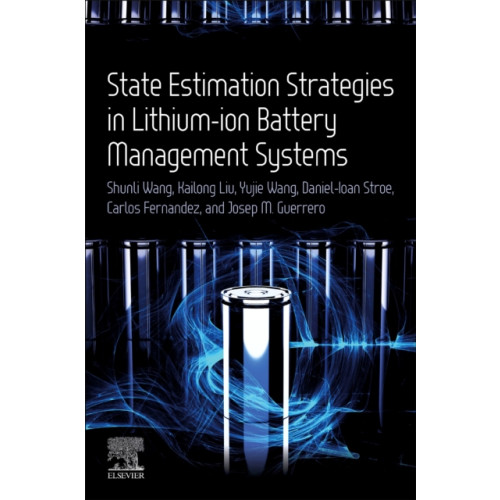 Elsevier - Health Sciences Division State Estimation Strategies in Lithium-ion Battery Management Systems (häftad, eng)