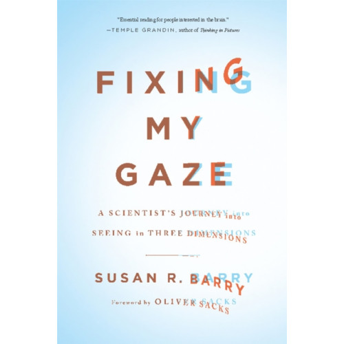 Basic Books Fixing My Gaze (häftad, eng)