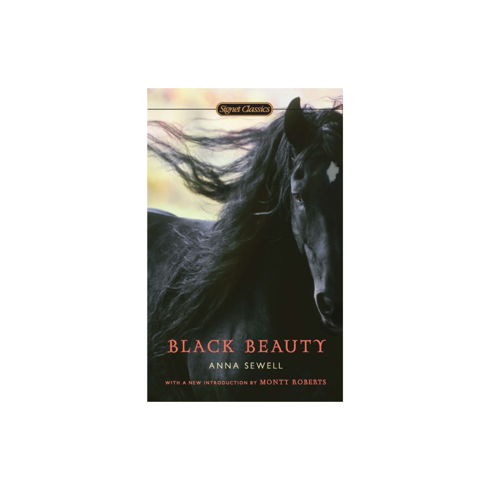 Produktbild för Black Beauty (häftad, eng)
