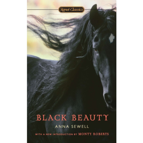 Penguin Putnam Inc Black Beauty (häftad, eng)