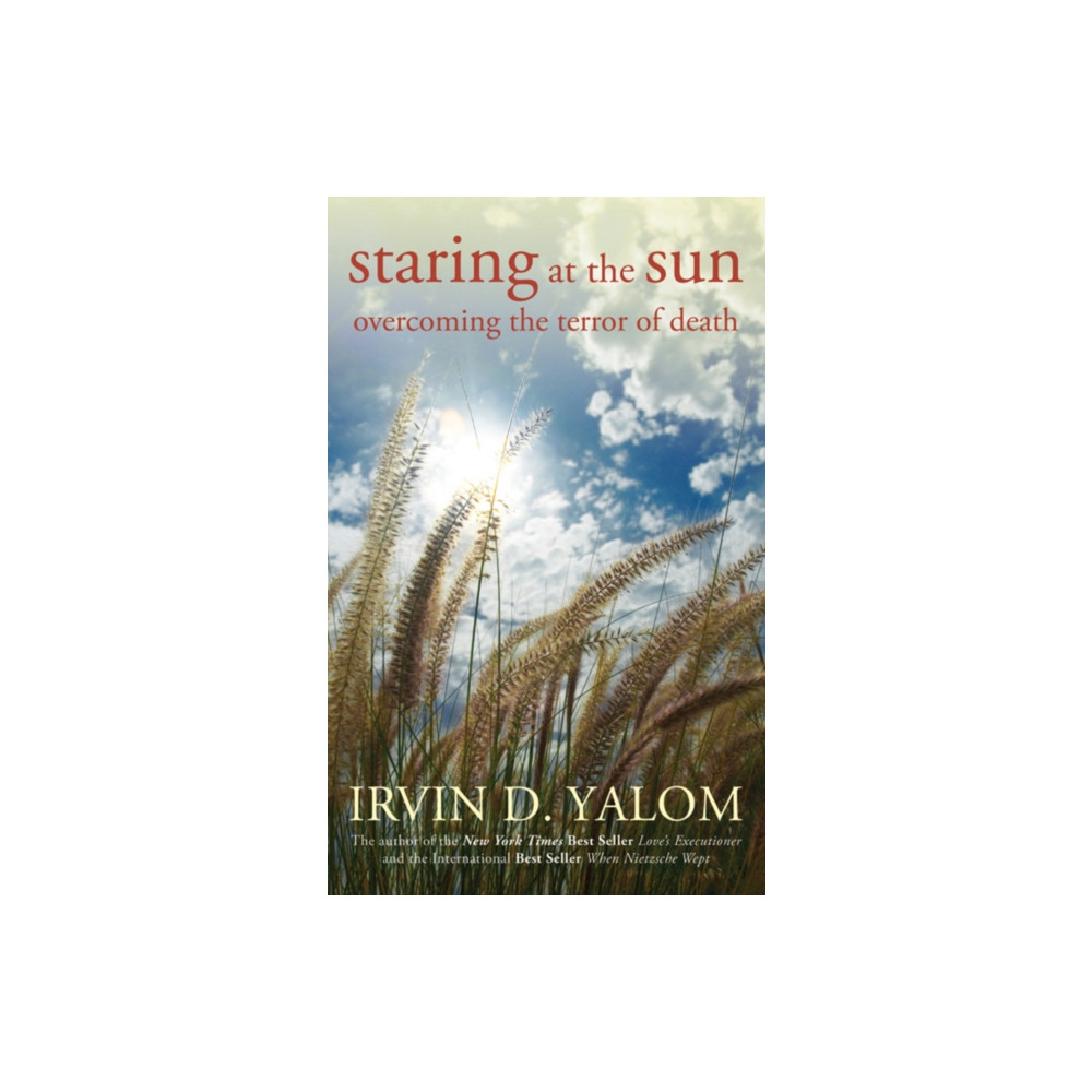 Produktbild för Staring at the Sun (häftad, eng)