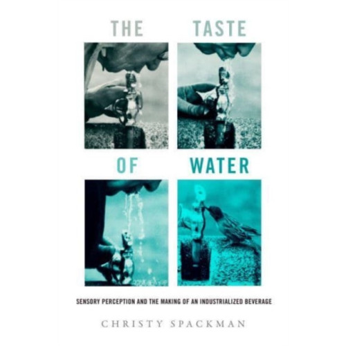 University of california press The Taste of Water (häftad, eng)