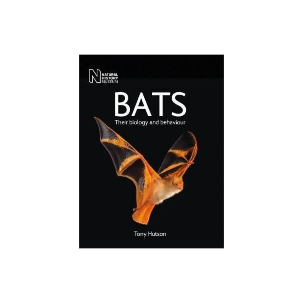 Produktbild för Bats (häftad, eng)