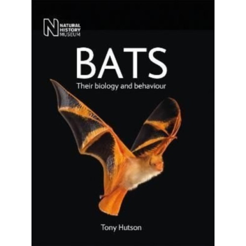 The Natural History Museum Bats (häftad, eng)