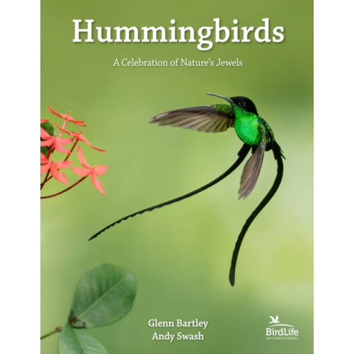 Princeton University Press Hummingbirds (inbunden, eng)