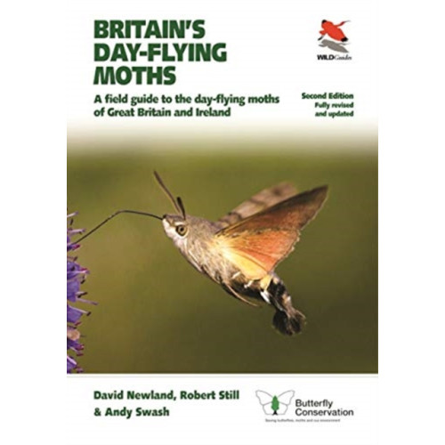 Princeton University Press Britain's Day-flying Moths (häftad, eng)