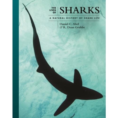 Princeton University Press The Lives of Sharks (inbunden, eng)