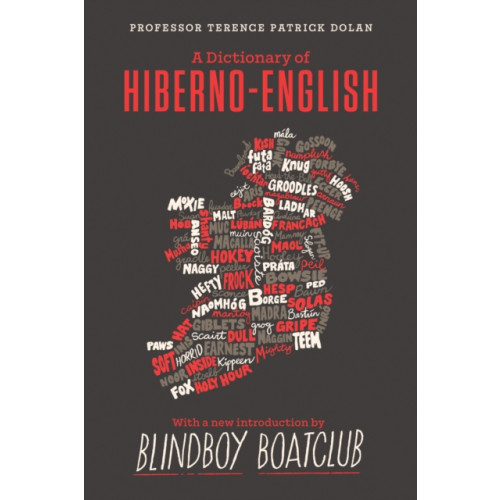 Gill A Dictionary of Hiberno English (inbunden, eng)