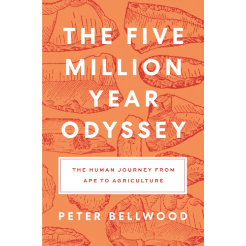 Princeton University Press The Five-Million-Year Odyssey (häftad, eng)