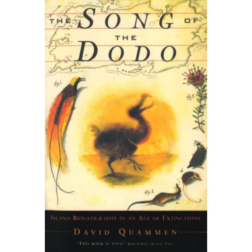 Vintage The Song Of The Dodo (häftad, eng)