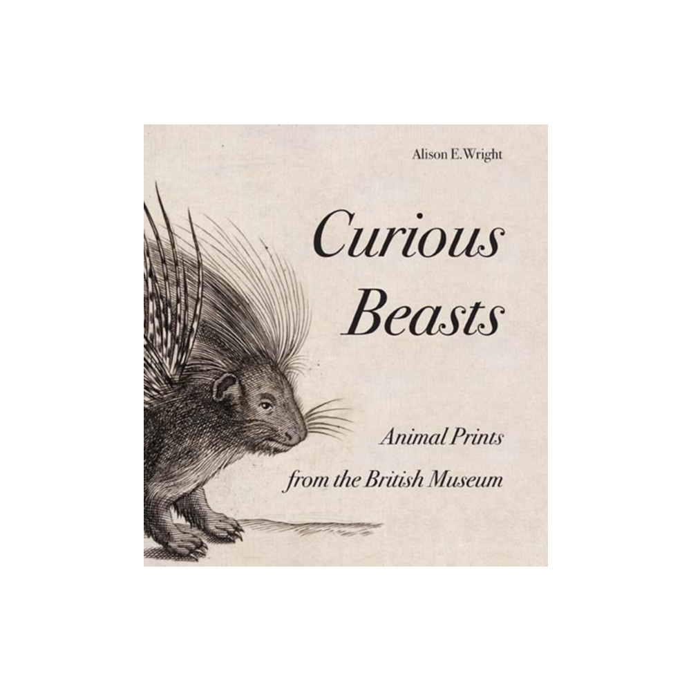 Produktbild för Curious Beasts (häftad, eng)