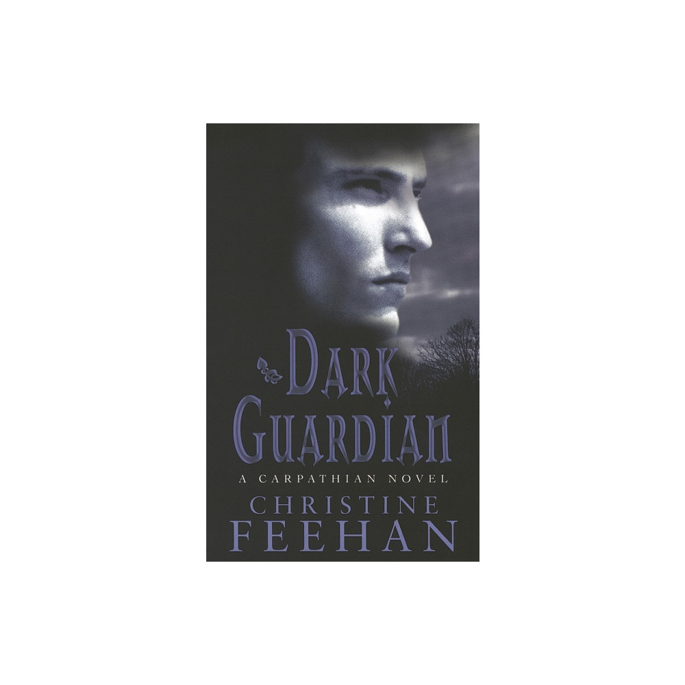 Produktbild för Dark Guardian (häftad, eng)