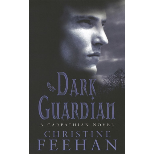 Little, Brown Book Group Dark Guardian (häftad, eng)