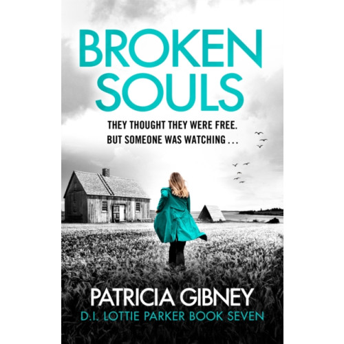 Little, Brown Book Group Broken Souls (häftad, eng)