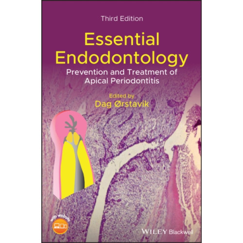 John Wiley And Sons Ltd Essential Endodontology (inbunden, eng)