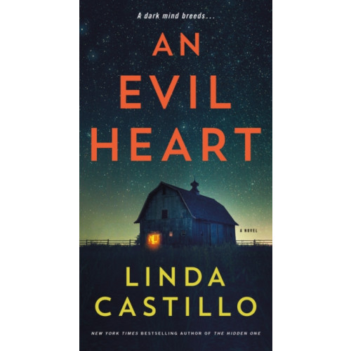 Minotaur Books,US An Evil Heart (häftad, eng)