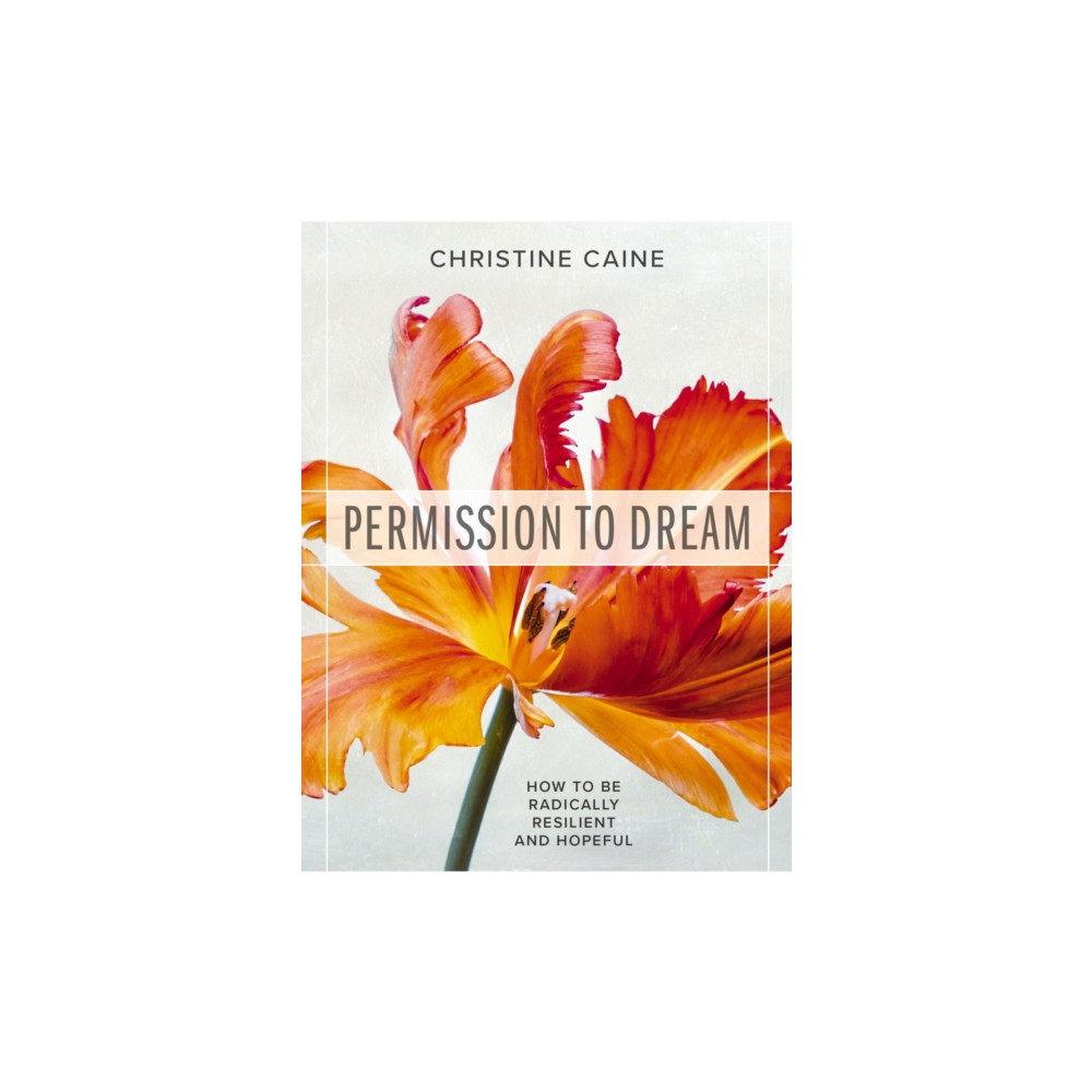 Produktbild för Permission to Dream (häftad, eng)