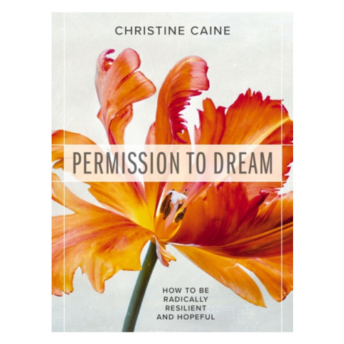 Thomas nelson publishers Permission to Dream (häftad, eng)