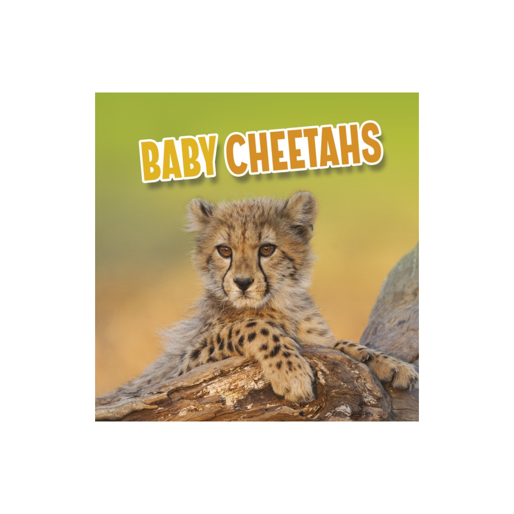 Produktbild för Baby Cheetahs (häftad, eng)
