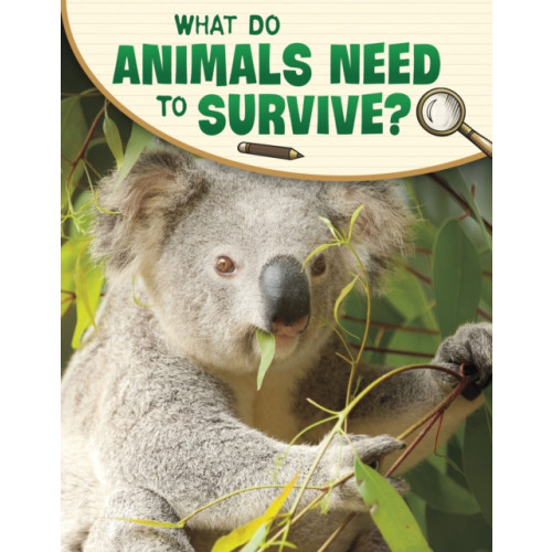 Capstone Global Library Ltd What Do Animals Need to Survive? (häftad, eng)