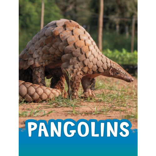 Capstone Global Library Ltd Pangolins (häftad, eng)