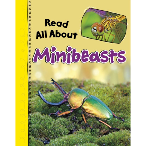 Capstone Global Library Ltd Read All About Minibeasts (häftad, eng)