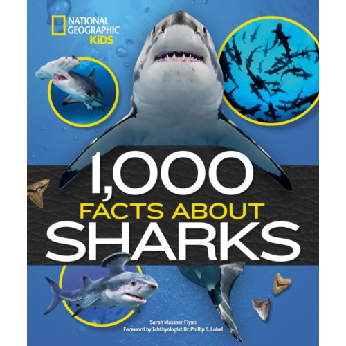 National Geographic Kids 1,000 Facts About Sharks (inbunden, eng)