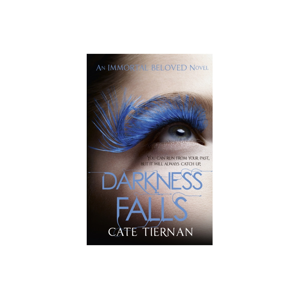 Produktbild för Darkness Falls (Immortal Beloved Book Two) (häftad, eng)