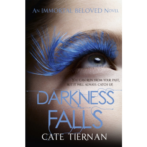 Hodder & Stoughton Darkness Falls (Immortal Beloved Book Two) (häftad, eng)