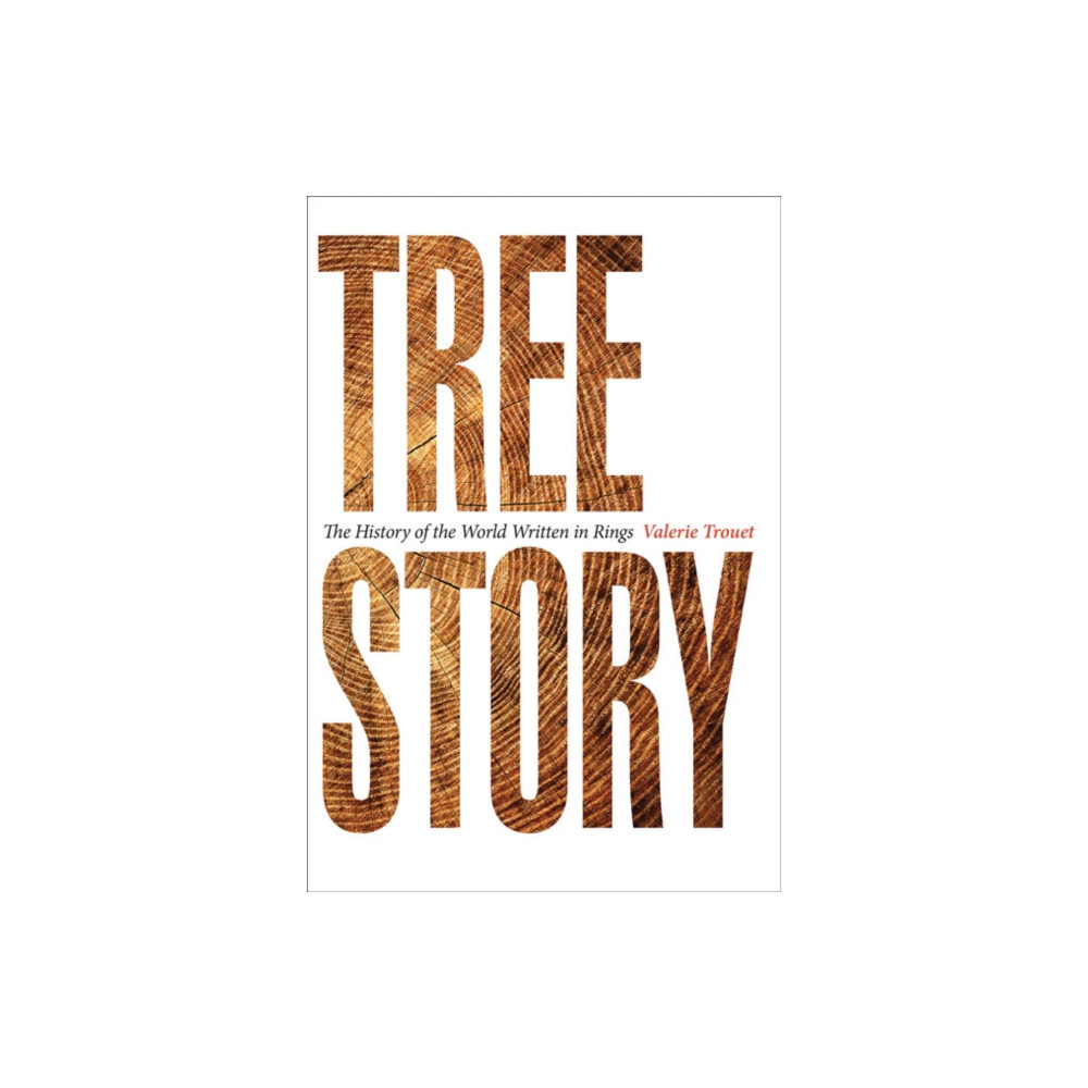 Produktbild för Tree Story (häftad, eng)
