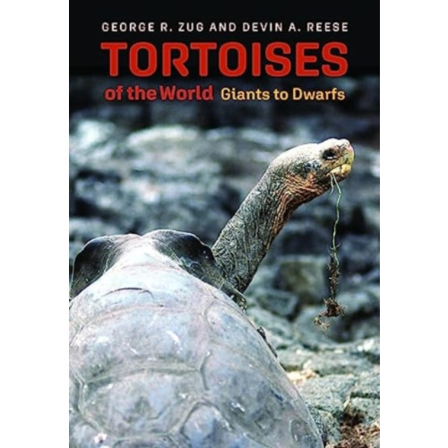 Johns Hopkins University Press Tortoises of the World (inbunden, eng)