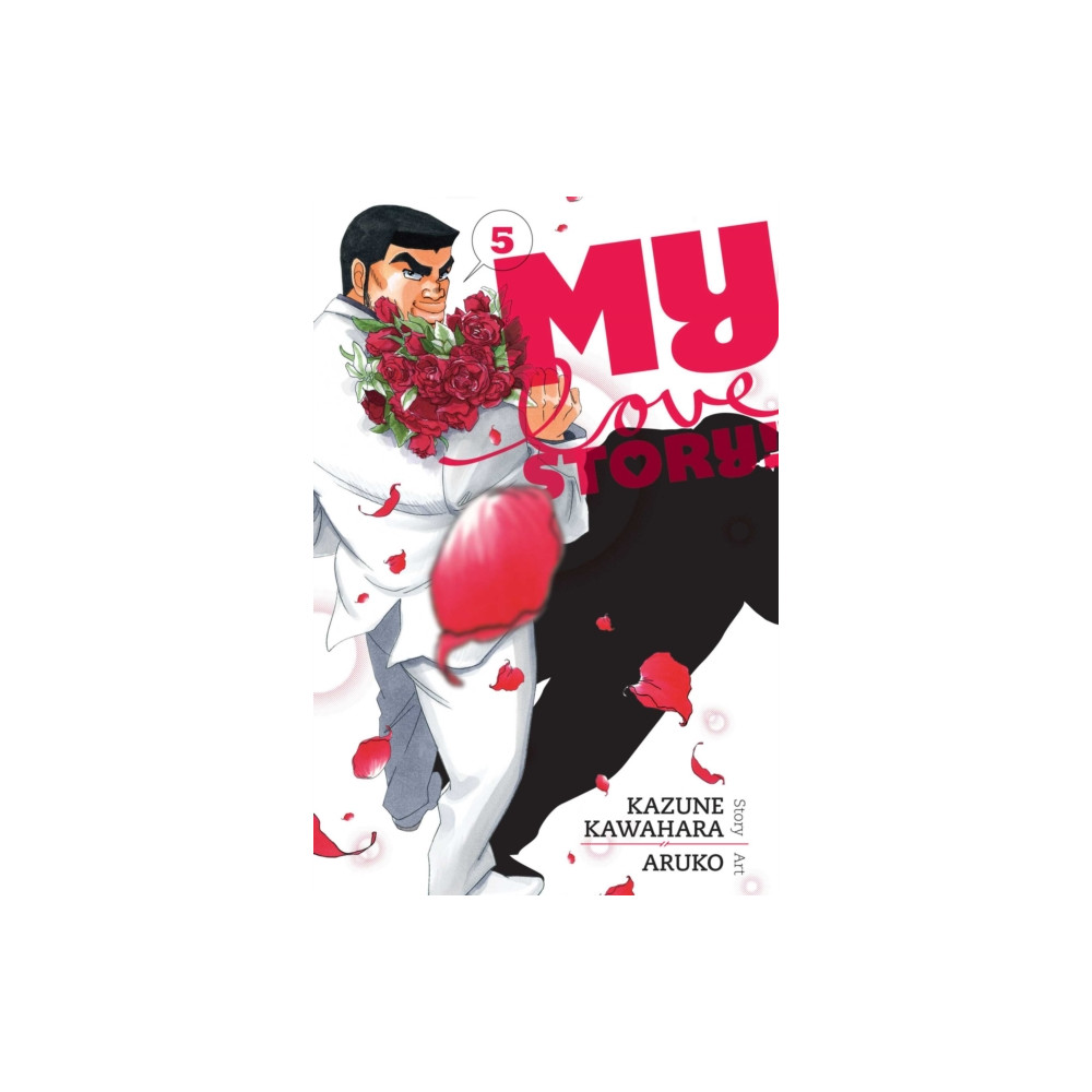 Produktbild för My Love Story!!, Vol. 5 (häftad, eng)