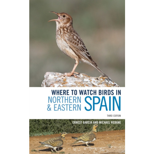 Bloomsbury Publishing PLC Where to Watch Birds in Northern and Eastern Spain (häftad, eng)