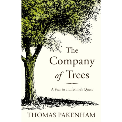 Orion Publishing Co The Company of Trees (häftad, eng)