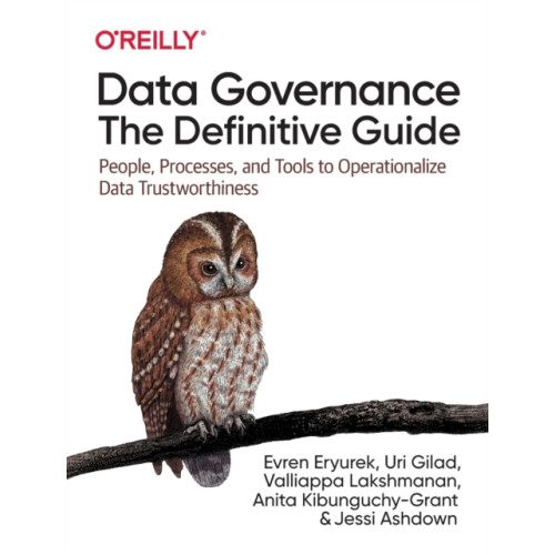 O'Reilly Media Data Governance: The Definitive Guide (häftad, eng)